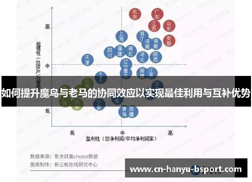 如何提升魔鸟与老马的协同效应以实现最佳利用与互补优势 如何提升魔鸟与老马的协同效应以实现最佳利用与互补优势