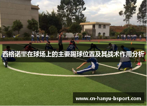 西格诺里在球场上的主要踢球位置及其战术作用分析 西格诺里在球场上的主要踢球位置及其战术作用分析