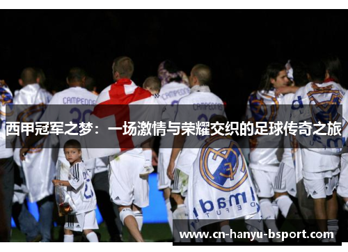 西甲冠军之梦：一场激情与荣耀交织的足球传奇之旅