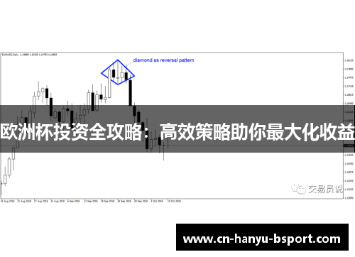欧洲杯投资全攻略：高效策略助你最大化收益