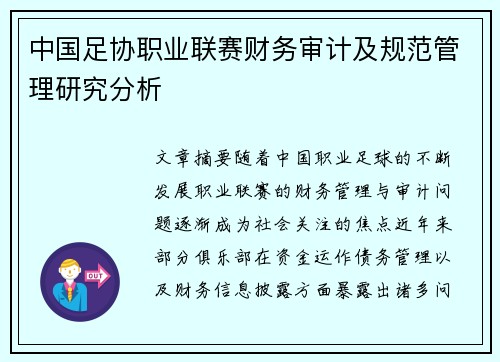 中国足协职业联赛财务审计及规范管理研究分析 中国足协职业联赛财务审计及规范管理研究分析